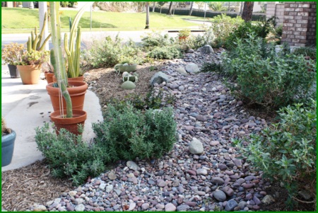 Steve and Shelley Matousek - Honorable Mention Winner